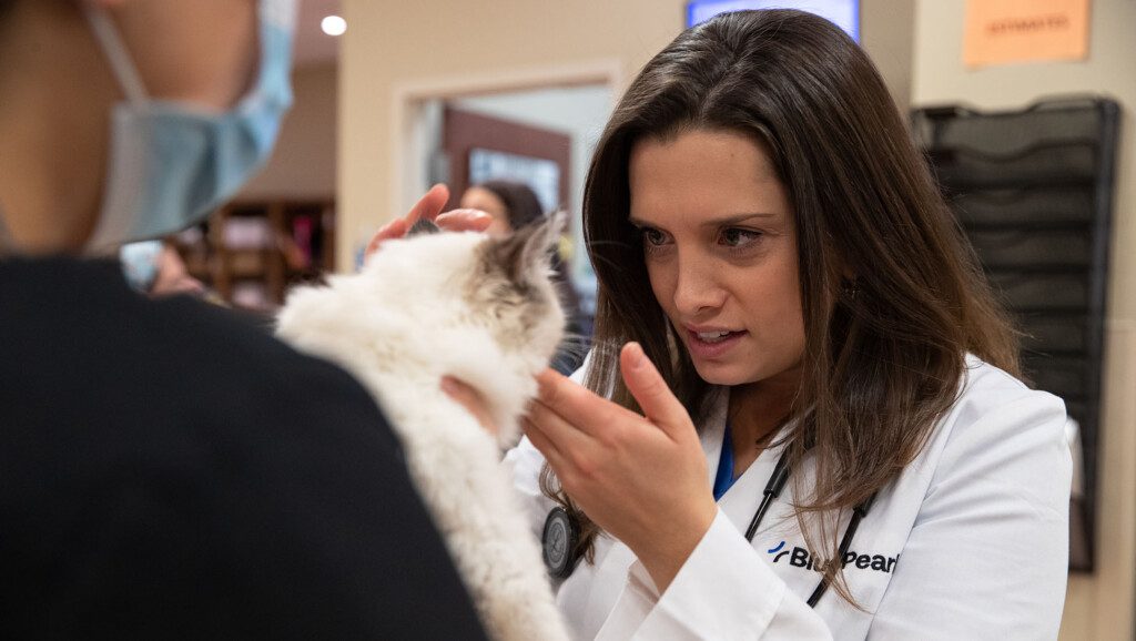 Dr. Linda Hyatt Veterinary Neurologist BluePearl Pet Hospital