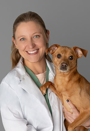 Dr. Lauren Miller smiles for a professional photo while holding her chihuahua mix in her arms. She is wearing a green blouse and her BluePearl whitecoat.