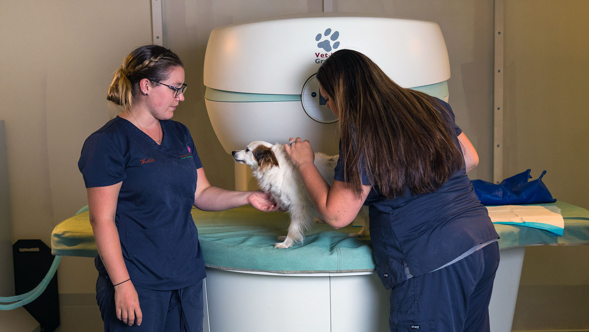 Two vet techs prepare a dog for a diagnostic test.