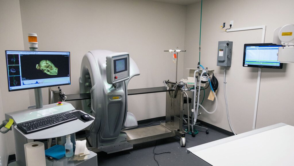 Diagnostic imaging equipment.