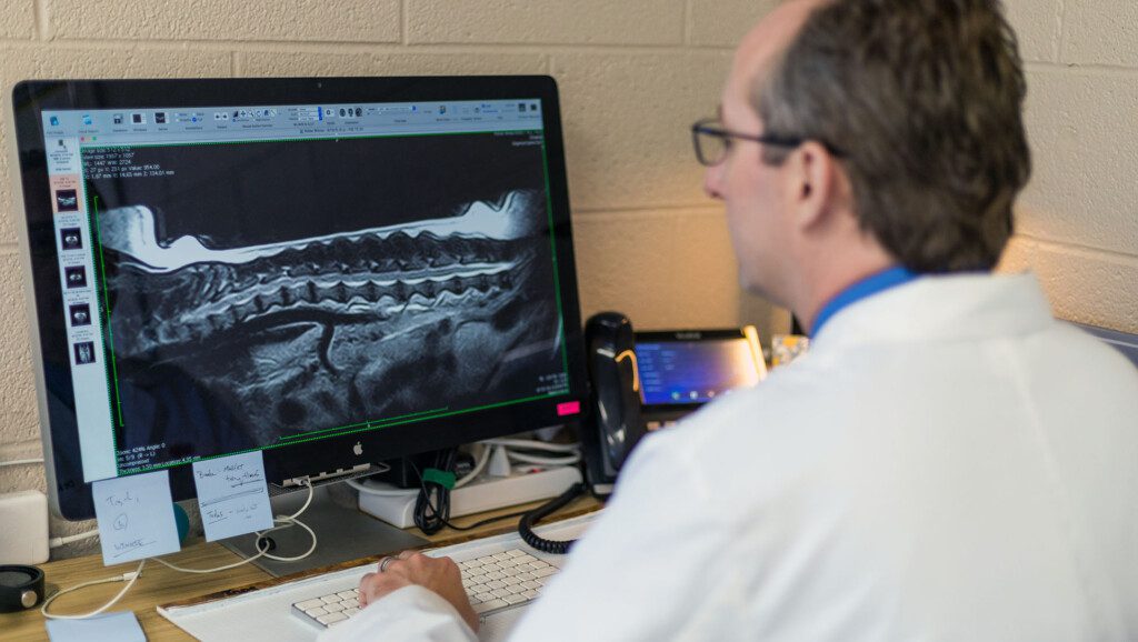 A veterinarian examines the readout from a diagnostic imaging test.
