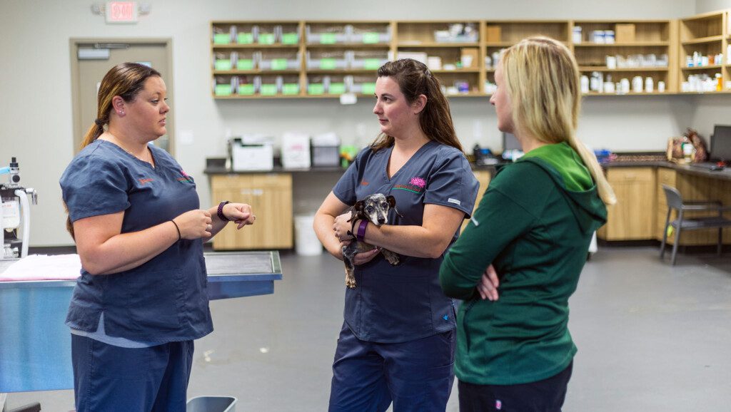 A group of three vet techs talks to one another.