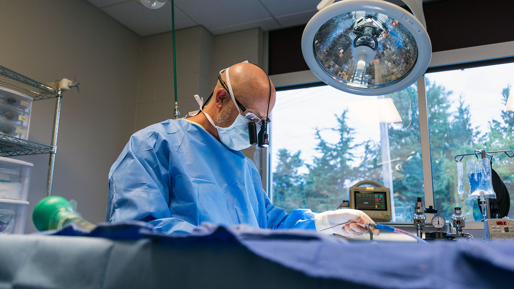 A veterinarian performs surgery.