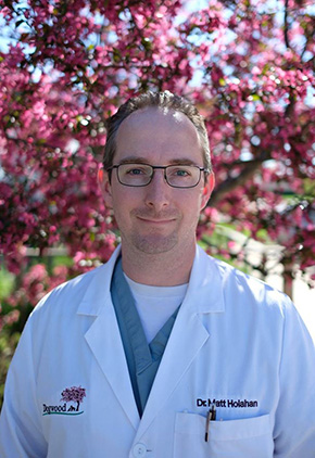 Dr. Matthew Holahan is a board certified veterinary neurologist at BluePearl Pet Hospital in Farmington, Michigan.