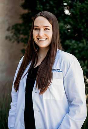 Dr. Lauren Vincent is a small animal medicine & surgery intern at BluePearl Pet Hospital in Franklin, Tennessee.
