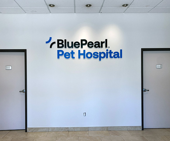 An interior sign reads BluePearl Pet Hospital.