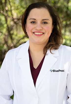 Dr. Jennifer Irizarry is a small animal medicine & surgery intern.