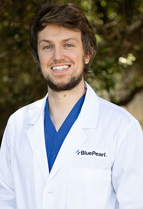 DR. Clifford Daragh is an intern at our BluePearl Spring pet hospital.
