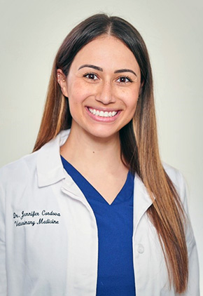 Dr. Jennifer Cordova is an emergency medicine veterinarian at BluePearl Pet Hospital in Spring, Texas.