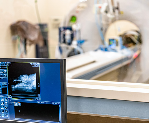 A closeup shot of a diagnostic readout with the patient being scanned in the background.