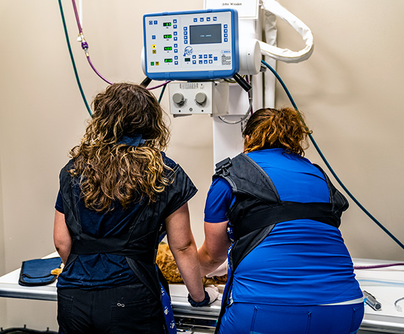 Two Associates prepare a patient for a diagnostic scan.