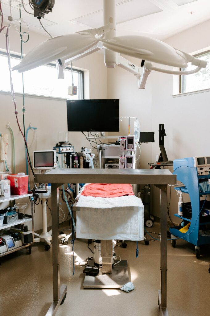 An extended view of the surgery suite at the BluePearl Pet Hospital in Golden Valley.