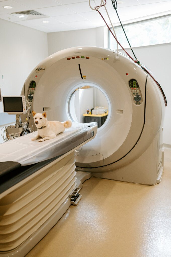 A view of the CT scan equipment in the BluePearl Pet Hospital in Golden Valley with a small tan dog sitting before it.