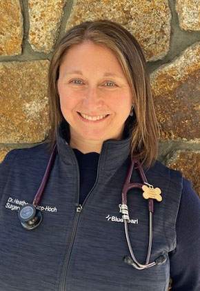 BluePearl board-certified surgeon, Dr. Heather Knapp-Hoch.