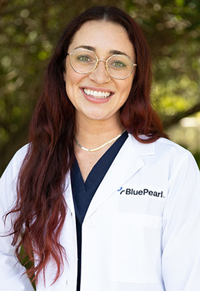 Dr. Amanda Kordenbrock is a small animal medicine and surgery intern.