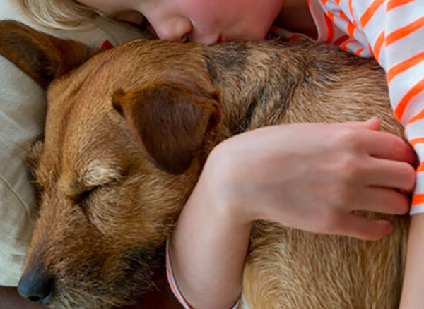 A child holding an older canine.