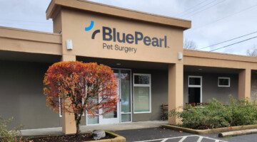 An exterior view of the front of the BluePearl Pet Surgery hospital.