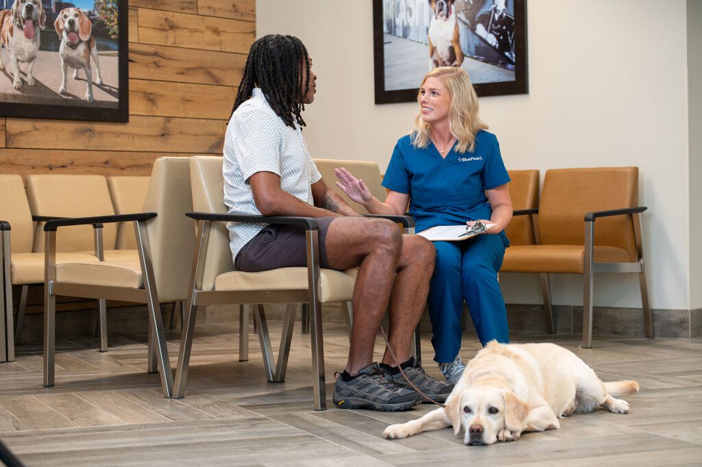 A BluePearl vet talks with a client in the waiting area as a yellow lab lays patiently at their feet.