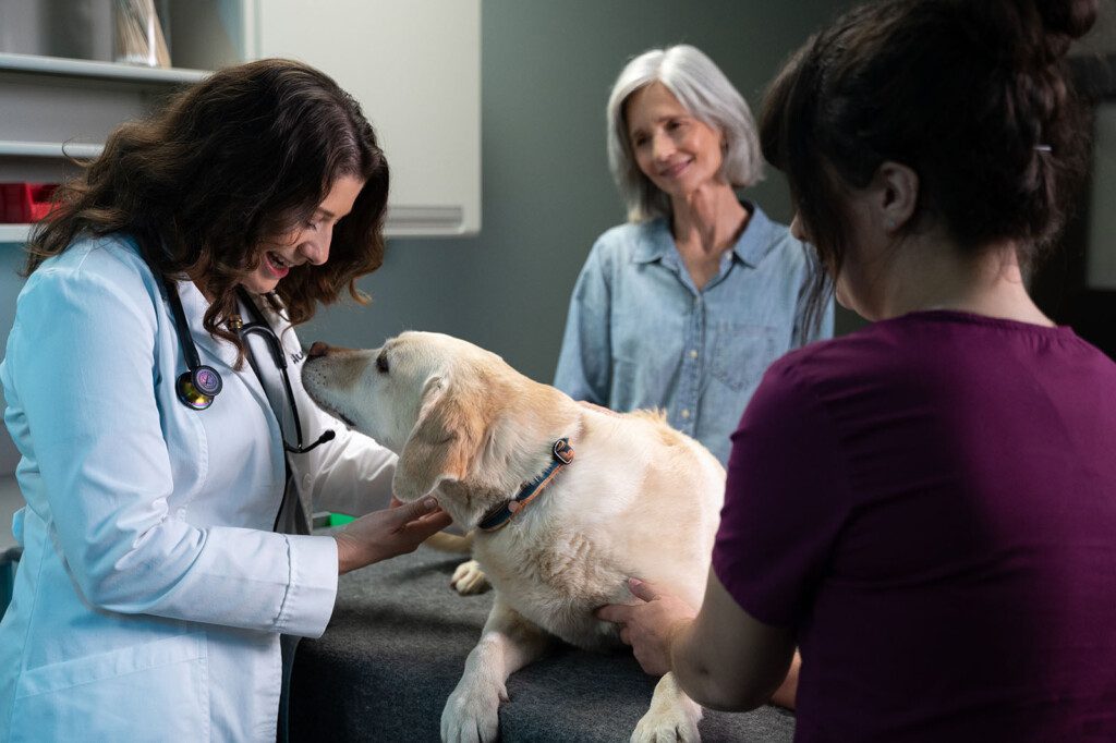 A BluePearl vet happily pets a yellow lab on an exam room table while a client and vet tech look on.