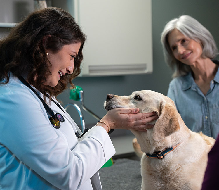 BluePearl clinician holding a yellow lab's face in her hands and smiling while the client smiles in the background.