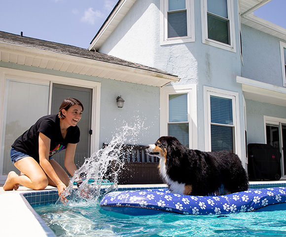 An Australian shepherd dog floats on a raft in a pool while her delighted owner gives her a playful splash of water.