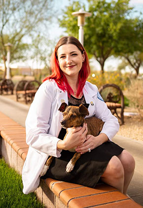 Dr. Alyssa Thomas, sporting her white coat, sitting outside at a park while holding her small brown dog.