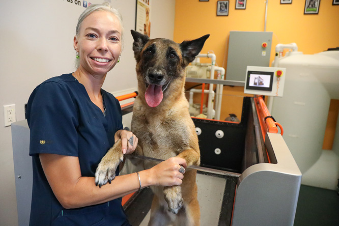 A BluePearl sports medicine and rehabilitation vet smiles while a dog stands by her on an underwater treadmill.