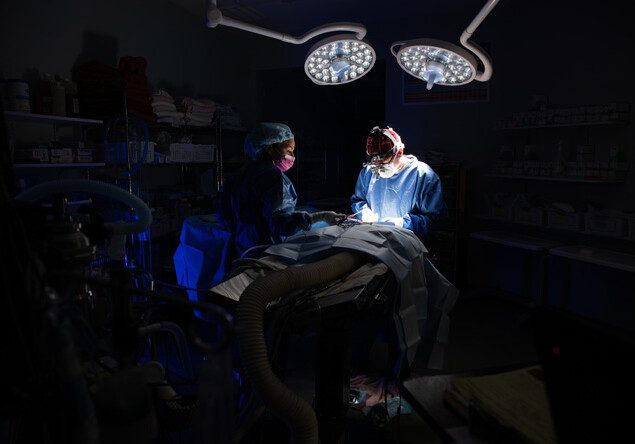 A BluePearl veterinary surgeon and a surgery technician performs a procedure in a dark operation room.