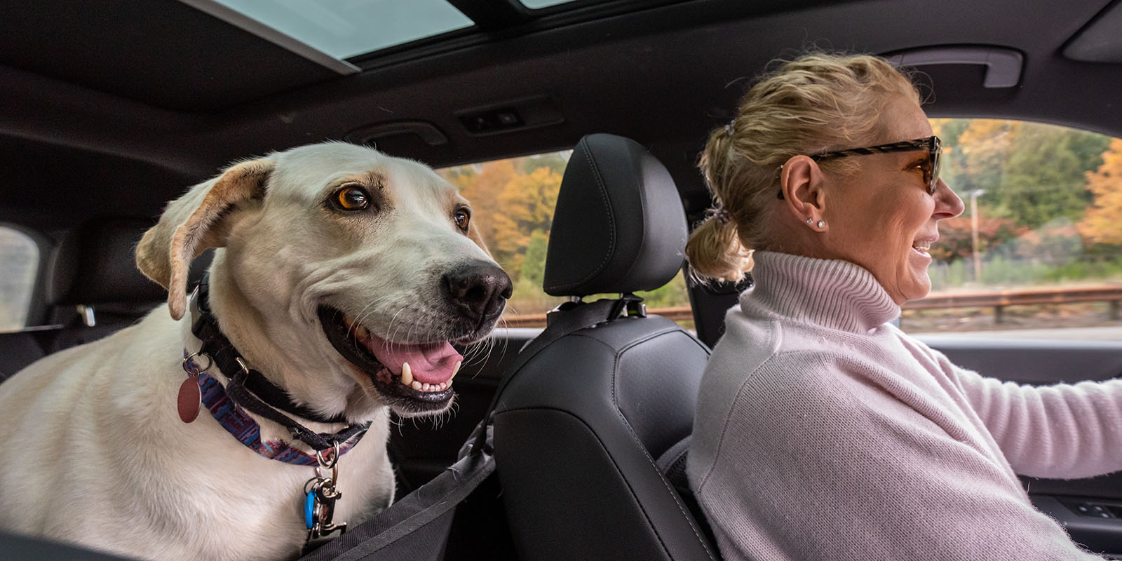 Woman driving and smiling while her dog sticks their head out from the backseat.