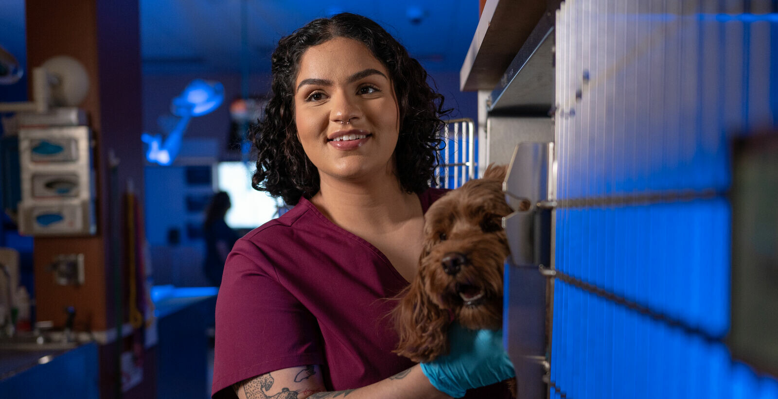 A BluePearl urgent care technician smiles while helping a long-haired dog get out of a kennel.