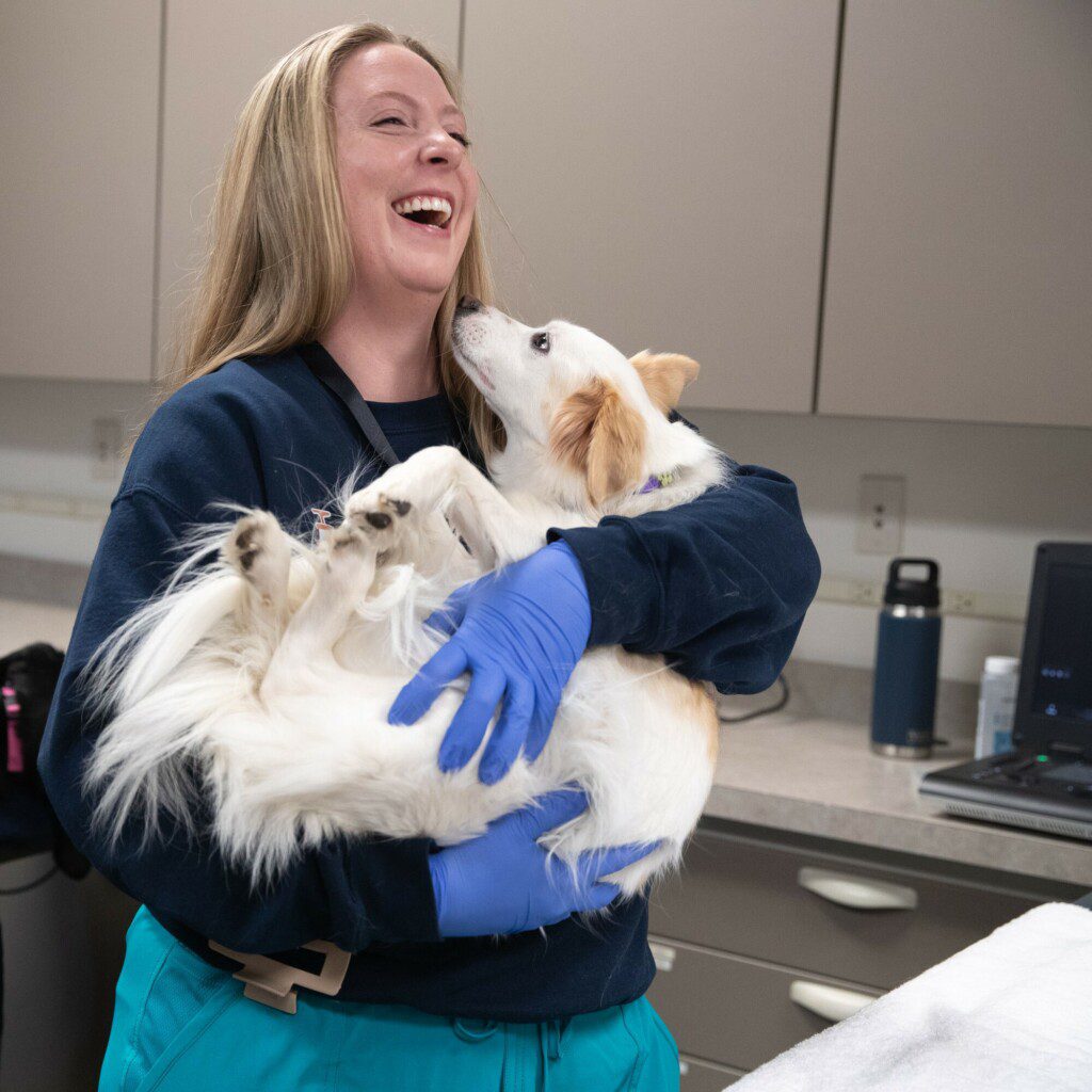 A veterinary technician holding a dog and smiling