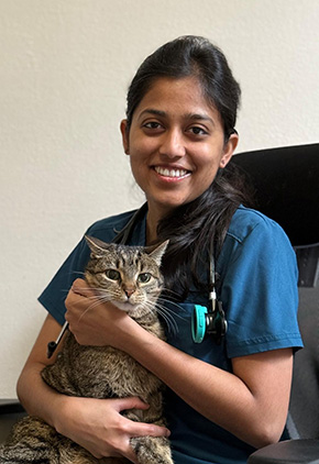 Dr. Harshitha Reddy smiling while sitting in an office chair and holding a mixed coat cat.