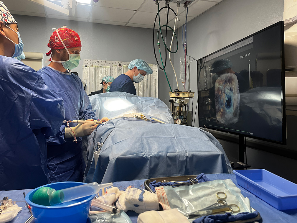 TEER 1 BluePearl clinicians at the Tampa hospital perform a TEER procedure, which includes surgery and cardiology teams coming together to help patients.