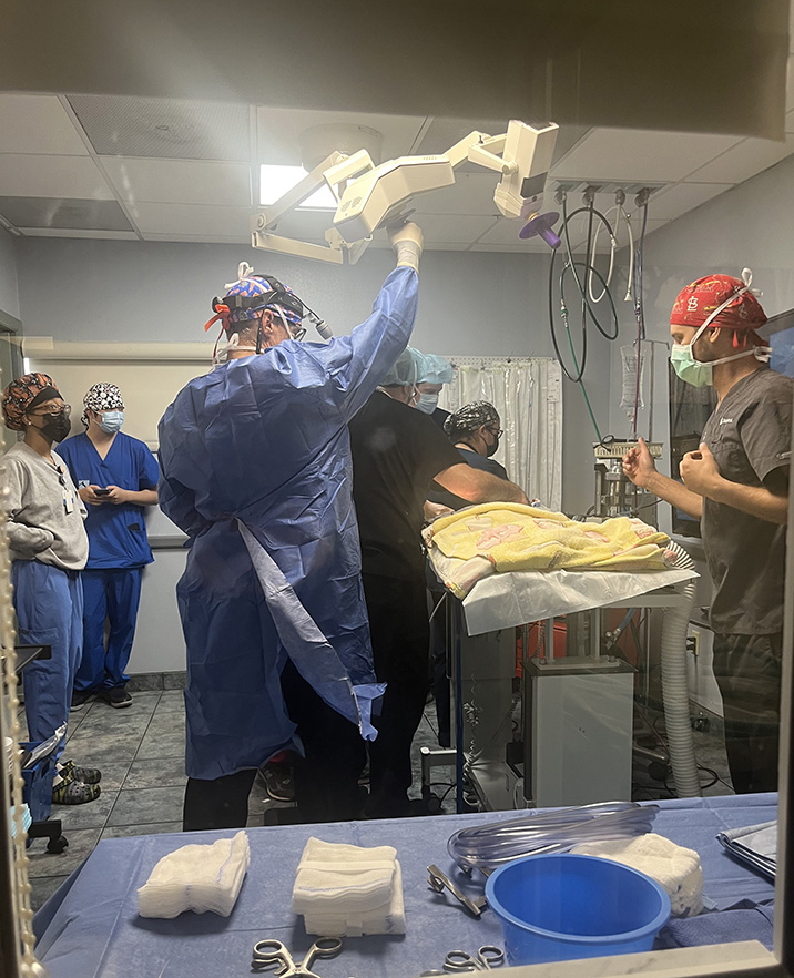 TEER 2 BluePearl clinicians at the Tampa hospital perform a TEER procedure, which includes surgery and cardiology teams coming together to help patients.