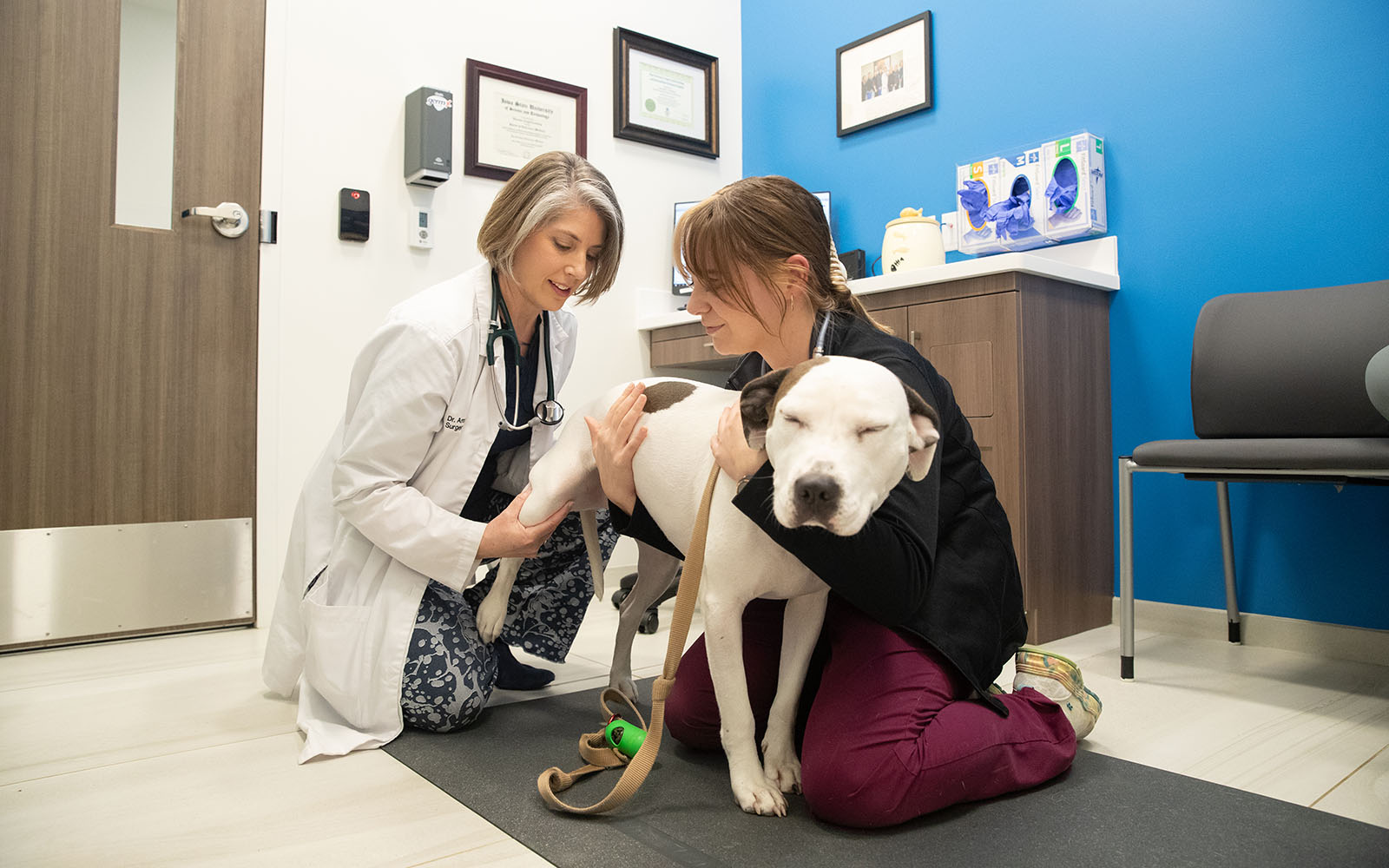 Two Associates - a veterinarian and a veterinary technician - kneel down with their arms around a content-looking canine patient.