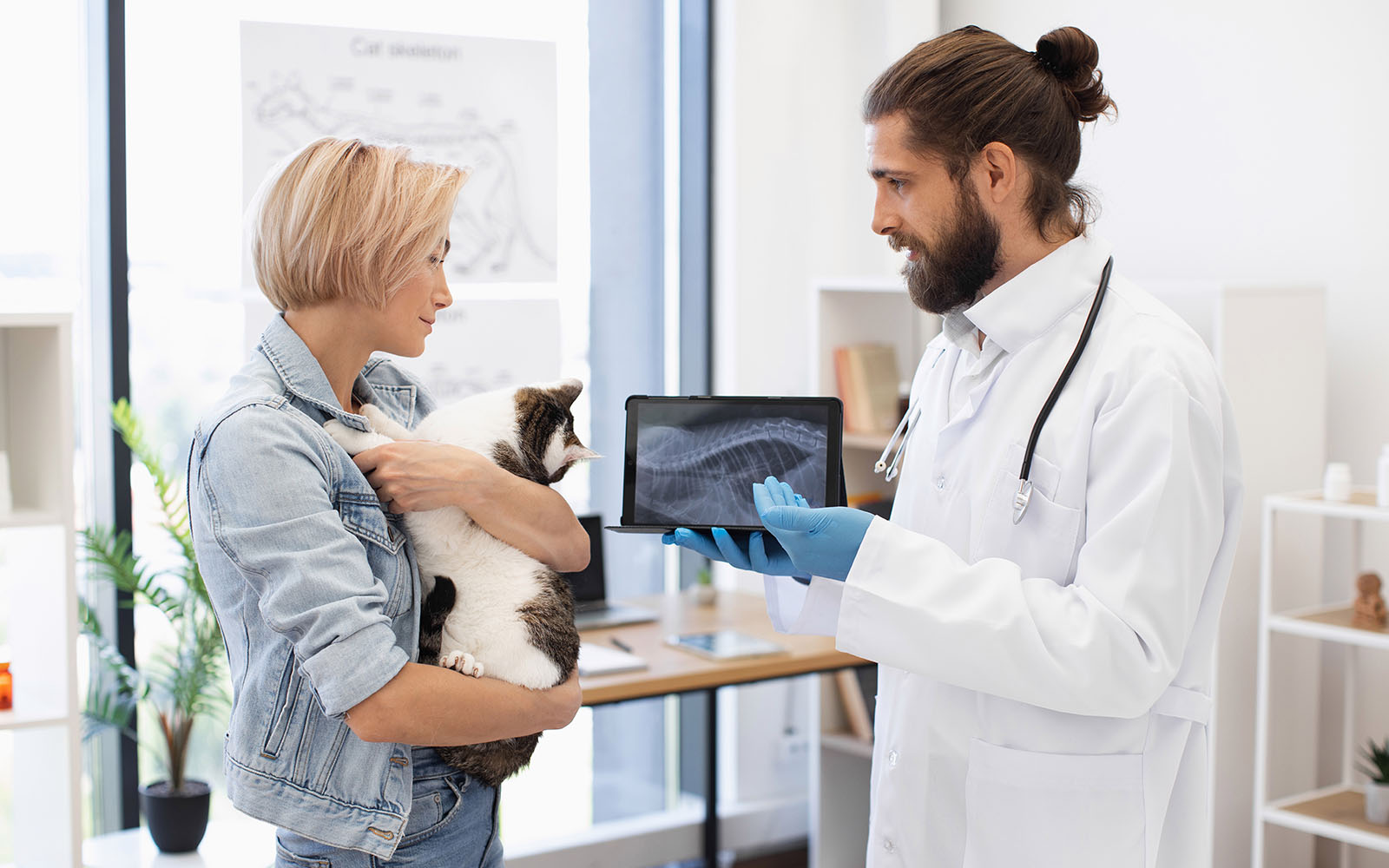 A veterinarian in a lab coat shows a client holding their cat a screen with x-rays on it