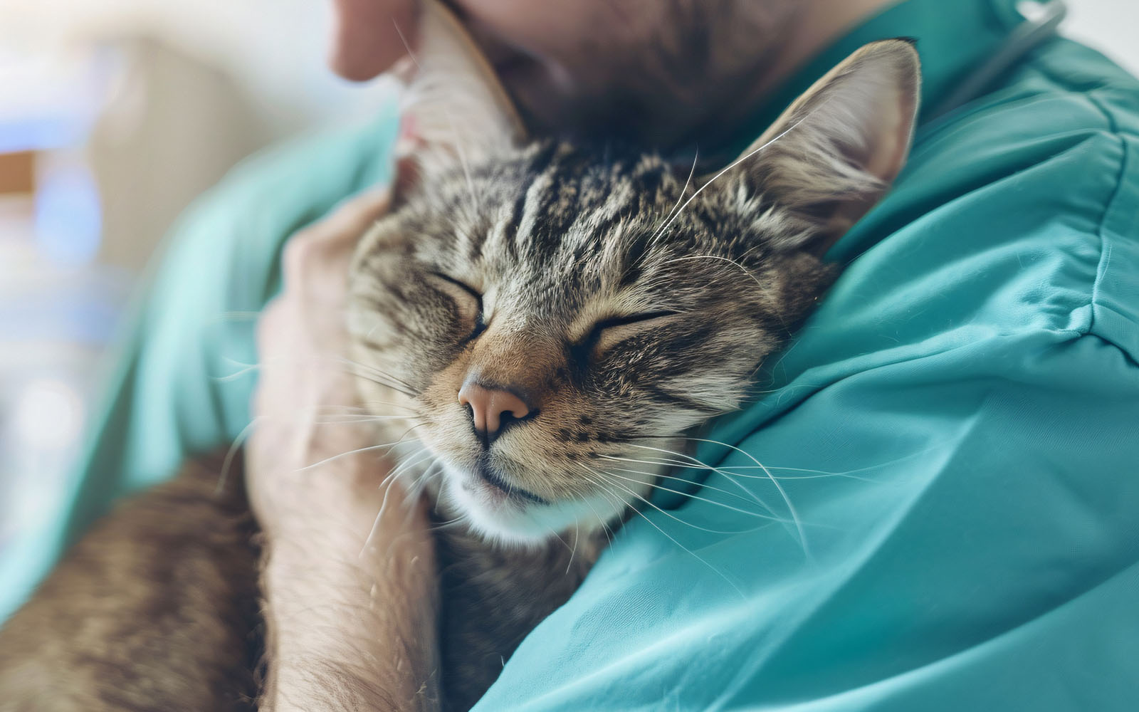 An Associate hugs a brown and black cat lovingly