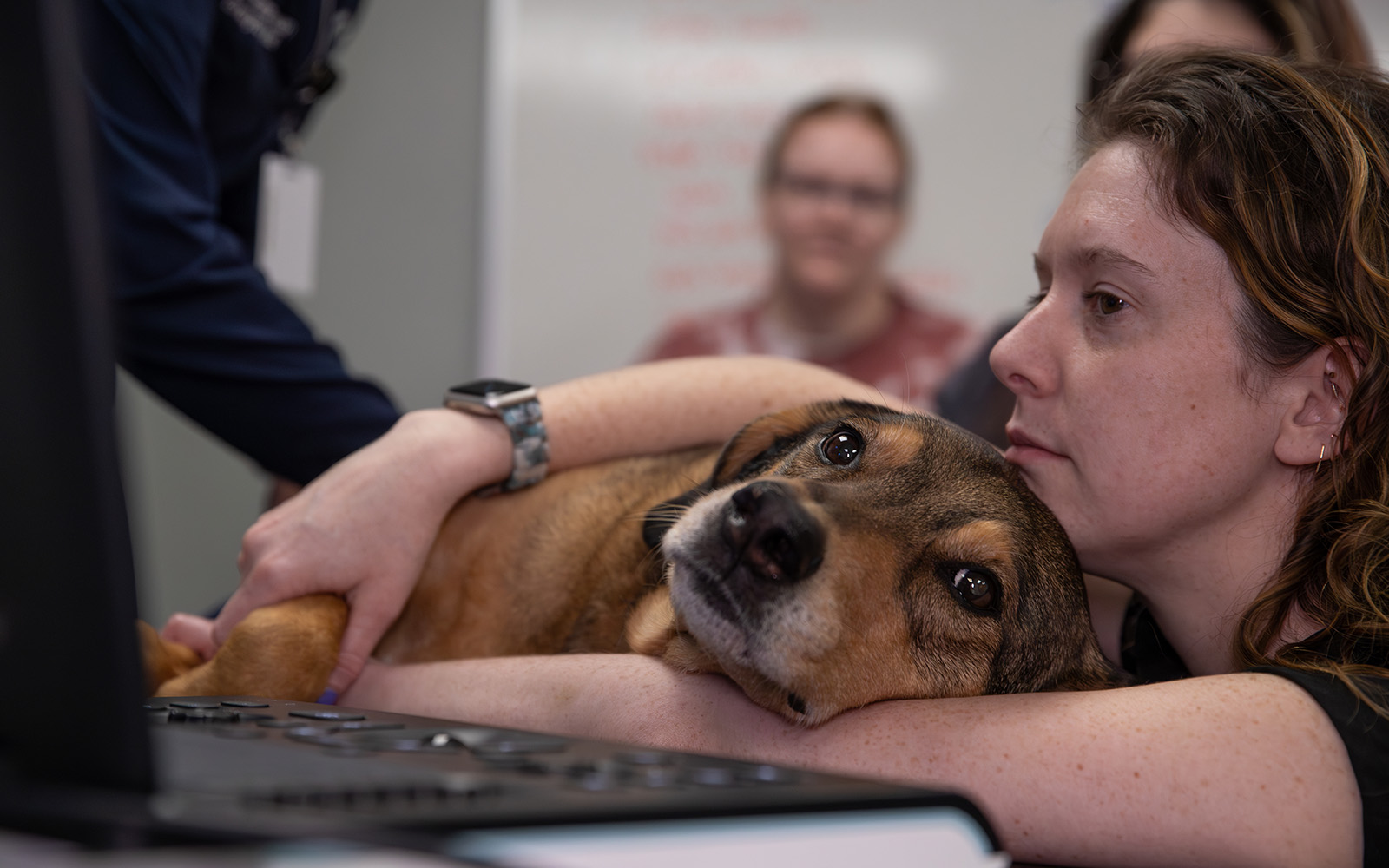 An Associate snuggles a canine patient who is laying down receiving an ultrasound.