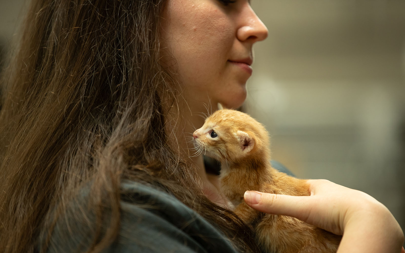 An Associate smiles while hugging a tiny orange kitten to her chest.