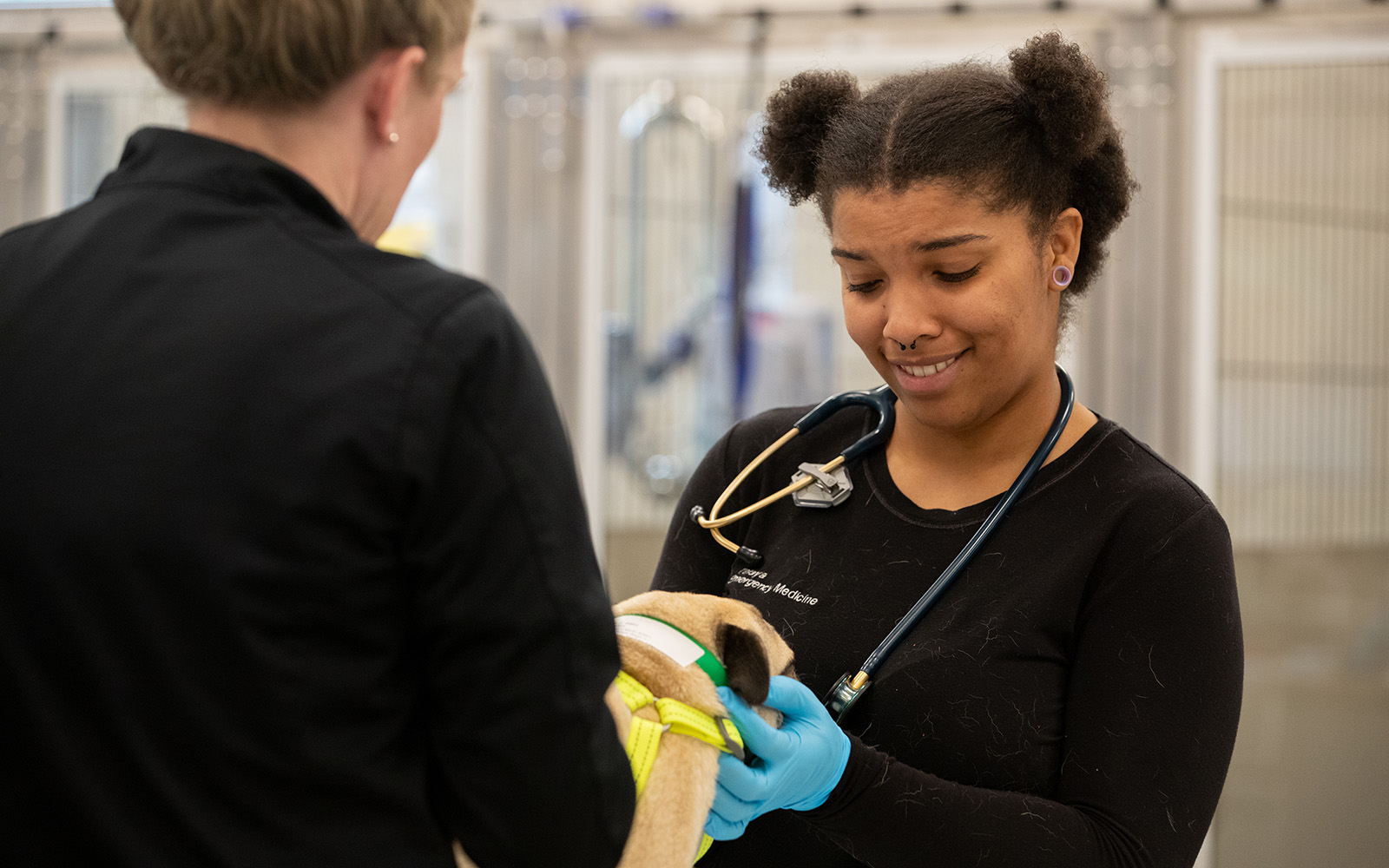 An Associate smiles and laughs while holding a canine patient who is being examined.