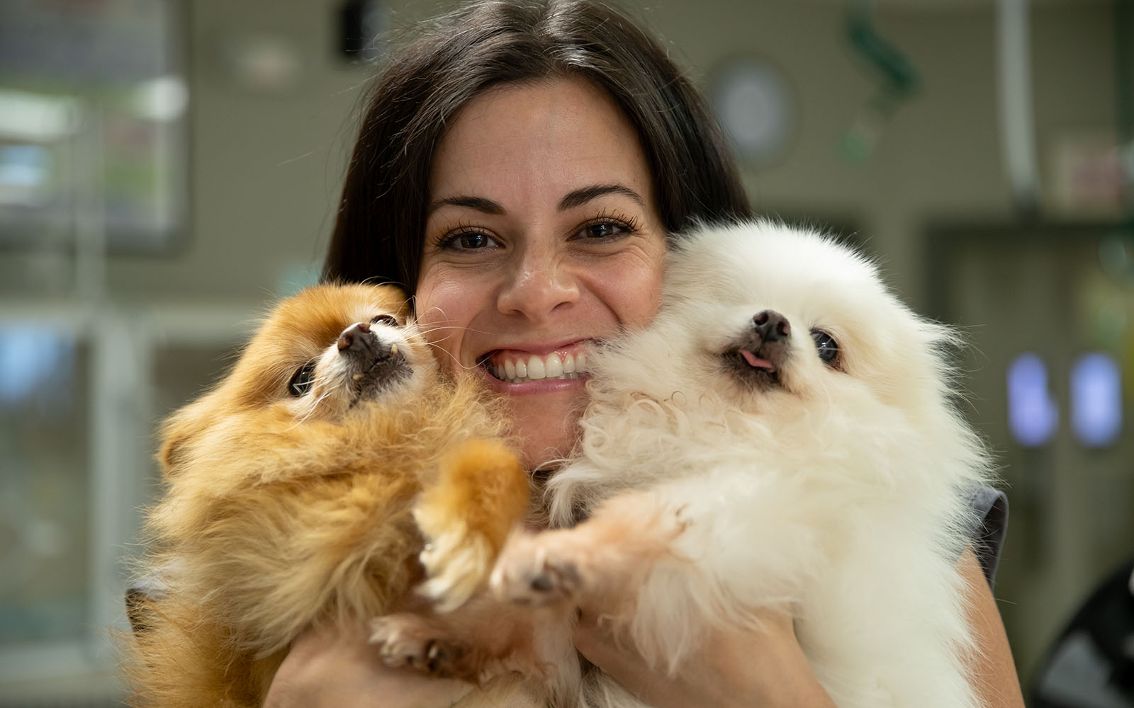 An Associate grins while holding two Pomeranian dogs, one white and one tan.