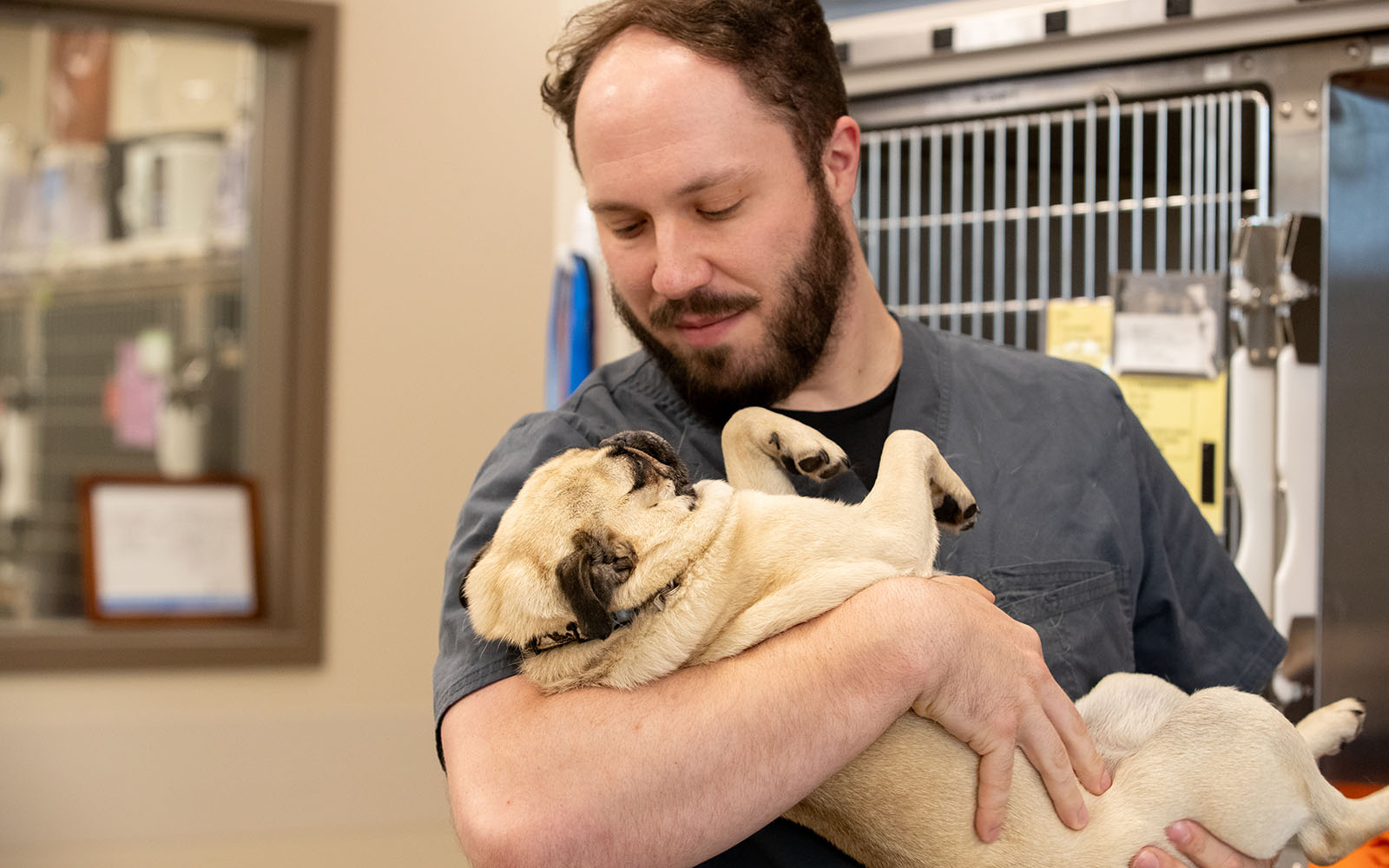 An Associate snuggles a pug dog in his arms while the pug gazes lovingly back at him.