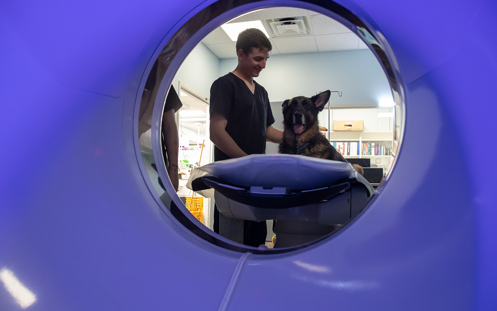 A German shepherd dog has one ear perked as they are prepared by a smiling Associate to get a CT scan.