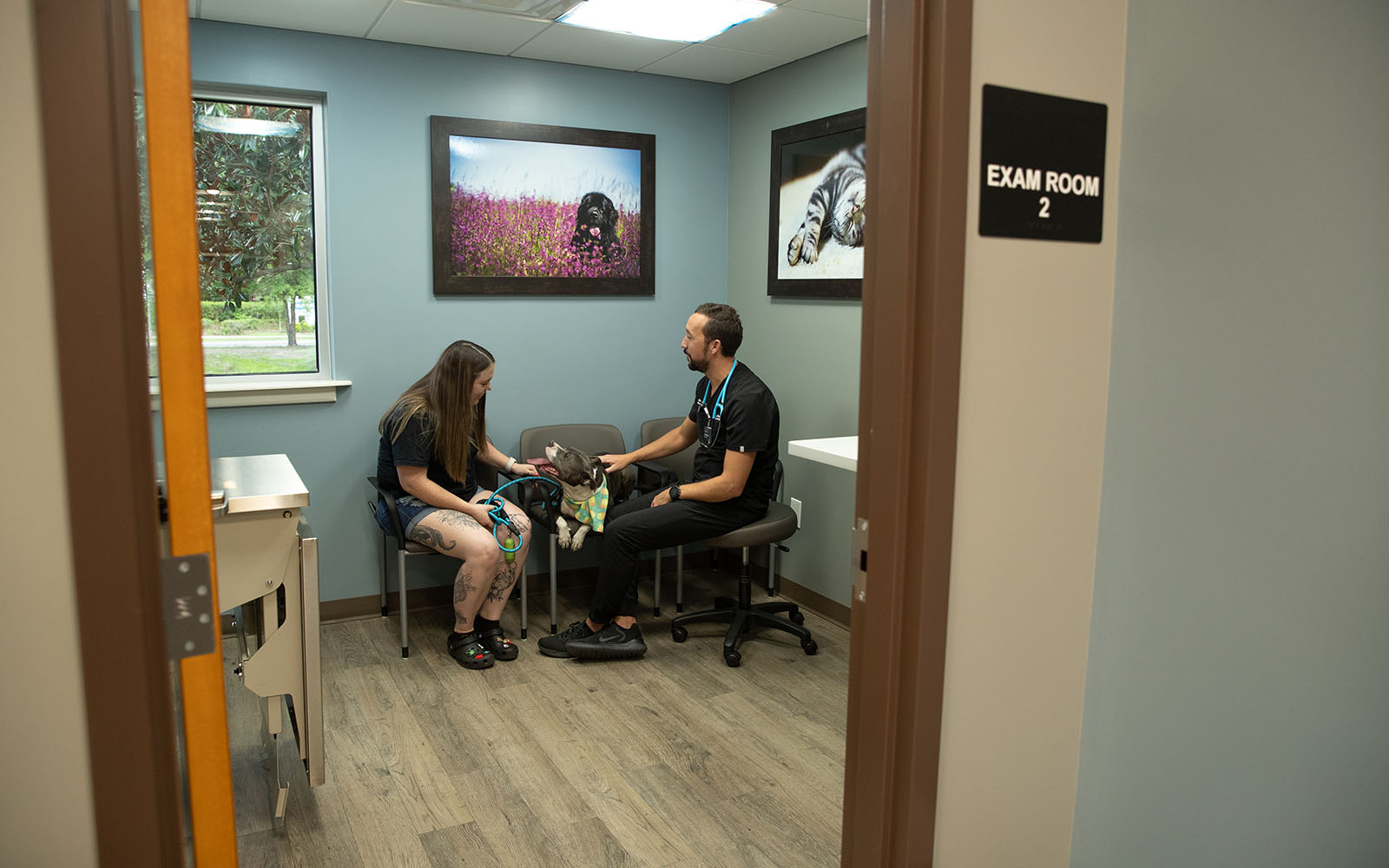 A veterinarian meets with a client and her medium sized white and grey dog in a comfortable, welcoming exam room.