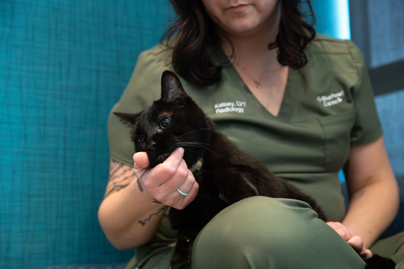 A BluePearl Associate holds a black cat in their lap.