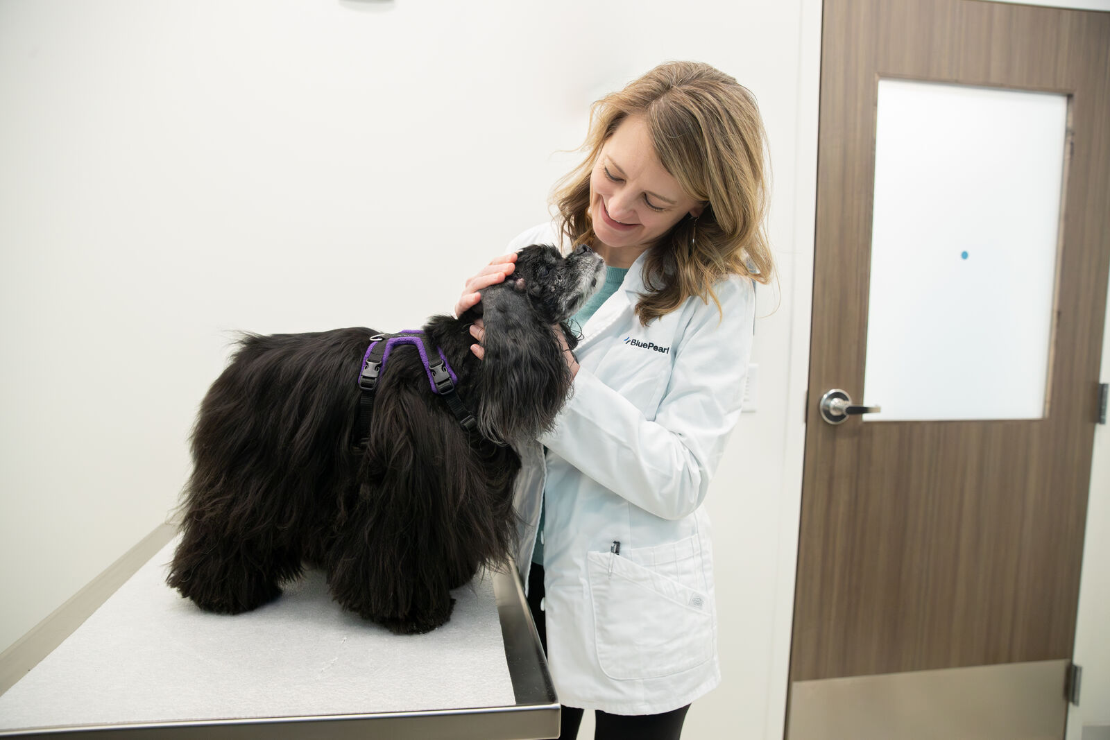 A BluePearl vet smiles as she examines a dog patient in the animal hospital examination room.