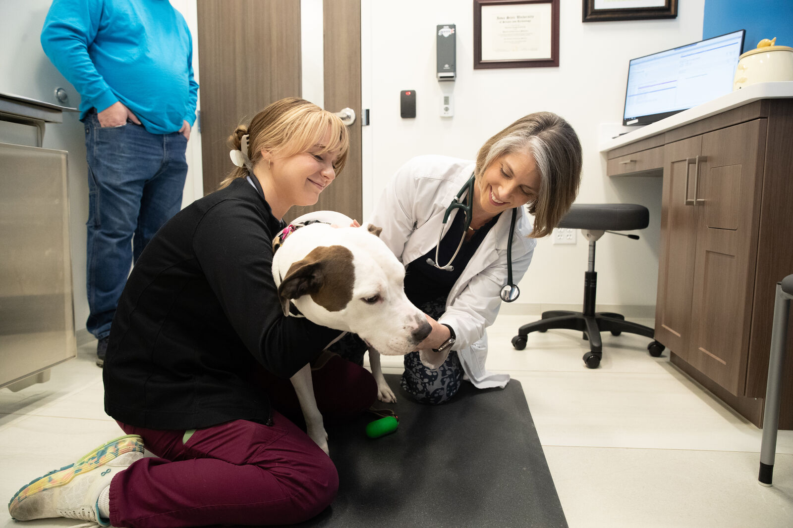 A BluePearl vet examines a patient dog while a vet tech helps keep them still in an exam room.