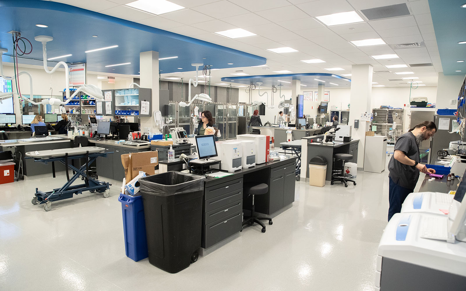 Veterinary hospital Associates work in the exam and treatment area of the hospital surrounded by imaging equipment, computers, exam tables, and more.