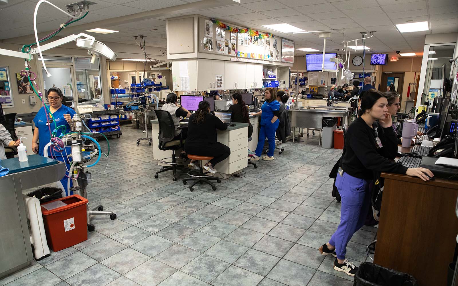 Veterinary hospital Associates work in the exam and treatment area of the hospital surrounded by imaging equipment, computers, exam tables, and more.