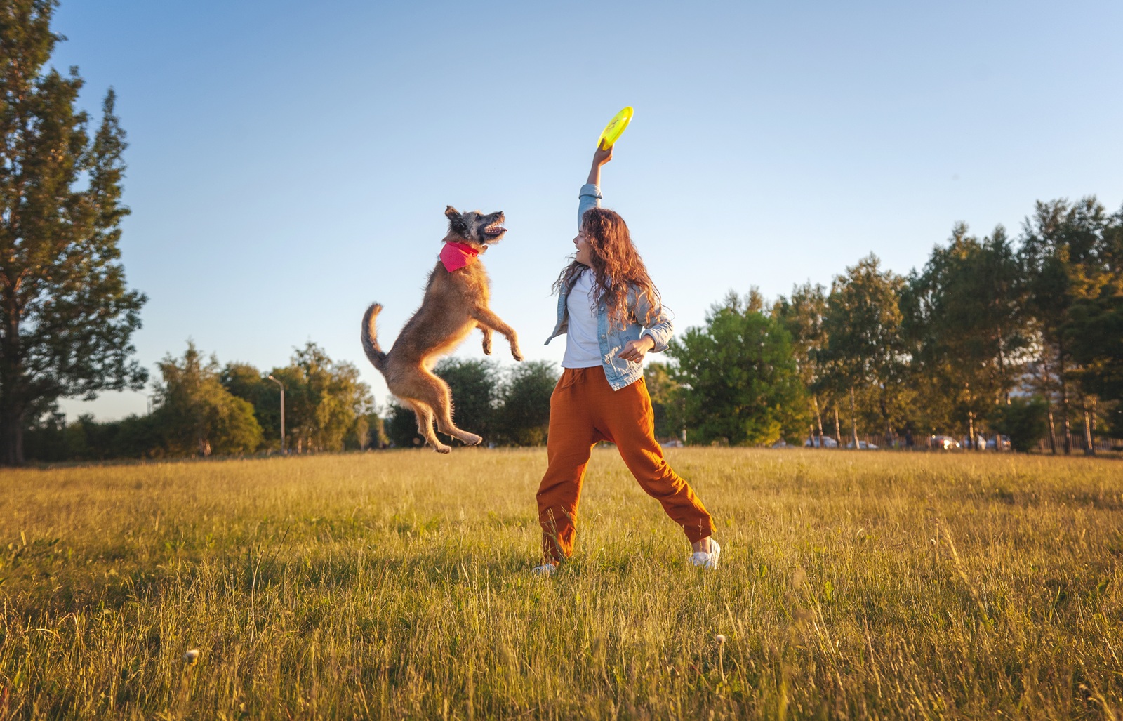 A woman holds up a frisbee in the park while her dog jumps ready for her to throw it.